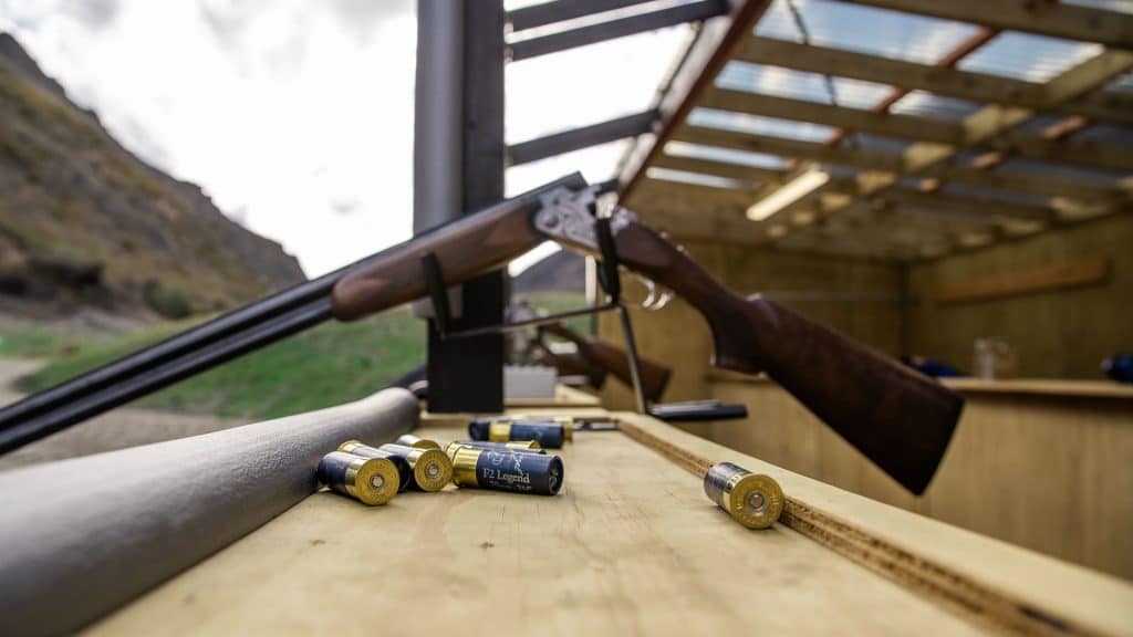 Clay bird shooting gun and bullets